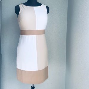 White House Black Market size 4